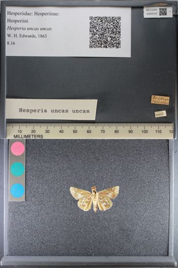 Media type: image;   Entomology 203107